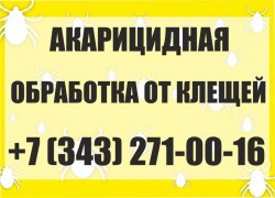 Обработка от клещей